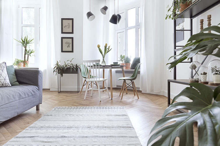 Neutral lounge with grey sofa, dining table and plants