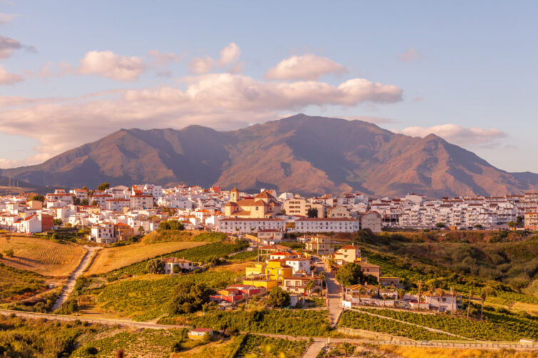 View of the city of Manilva spain