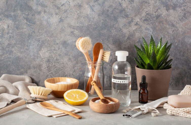 Eco-friendly cleaning with vinegar, lemon, bicarbonate of soda and natural bowls and brushes