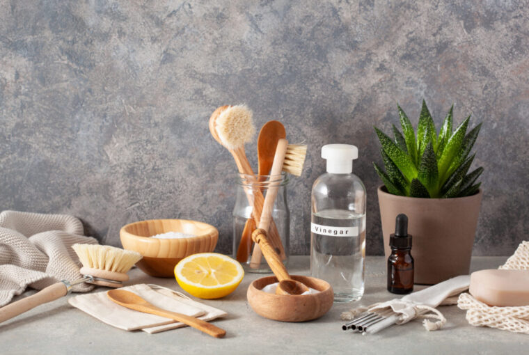 Eco-friendly cleaning with vinegar, lemon, bicarbonate of soda and natural bowls and brushes