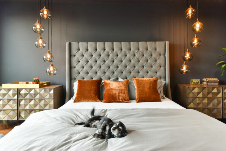 Bedroom with dark painted walls, cosy bed with small black and white dog sleeping. Stylish glass hanging pendent lights.