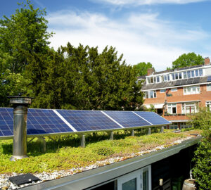 Green eco roof. Roof covered in sedum plants