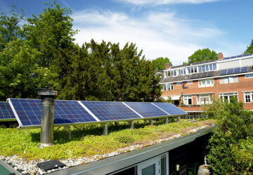 Green eco roof. Roof covered in sedum plants