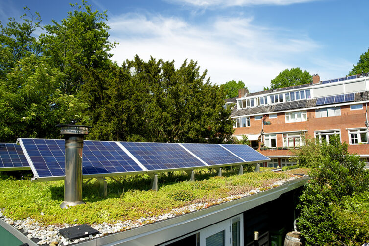 Green eco roof. Roof covered in sedum plants