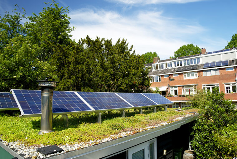 Green eco roof. Roof covered in sedum plants