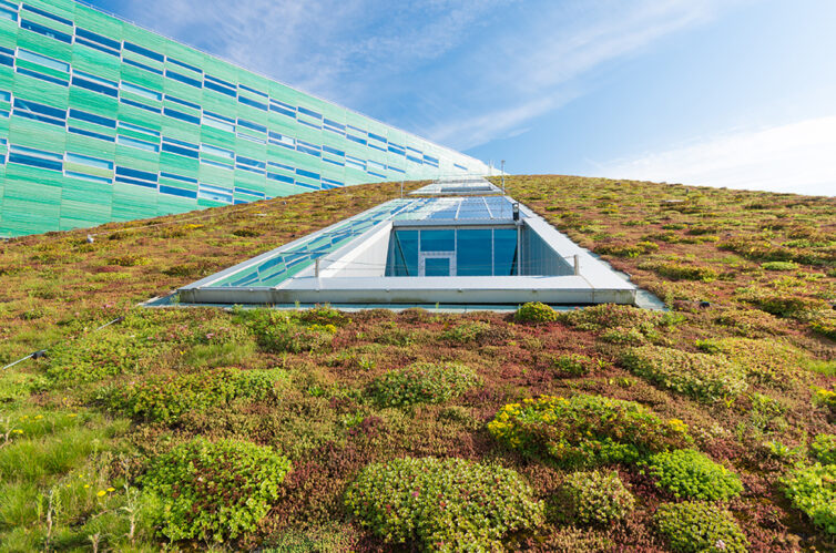 Modern building with large slanted roof, covered in plants. Eco green roof