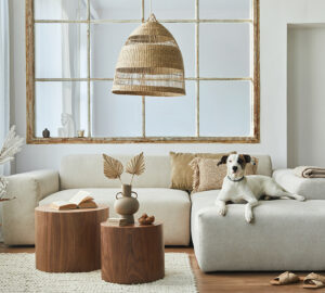 Cream and beige room with cream modular sofa with dog sat on sofa, seagrass lamp shade and faux tree stump coffee tables