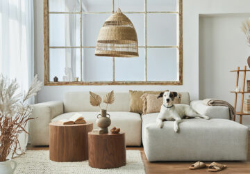 Cream and beige room with cream modular sofa with dog sat on sofa, seagrass lamp shade and faux tree stump coffee tables