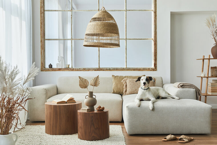 Cream and beige room with cream modular sofa with dog sat on sofa, seagrass lamp shade and faux tree stump coffee tables