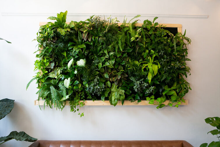 Living wall decoration full of plants in living room