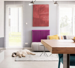 Living room with purple designer radiator