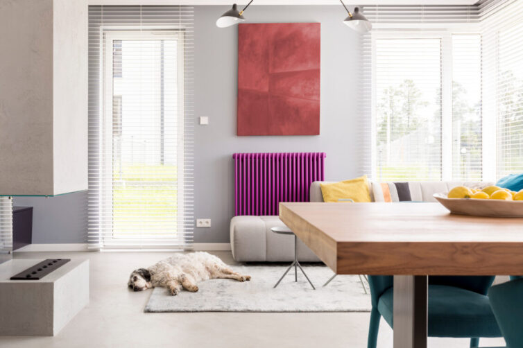 Living room with purple designer radiator