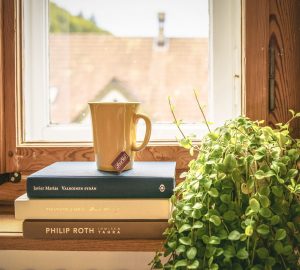 Wooden window with pile of books, mug and plant