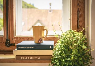 Wooden window with pile of books, mug and plant
