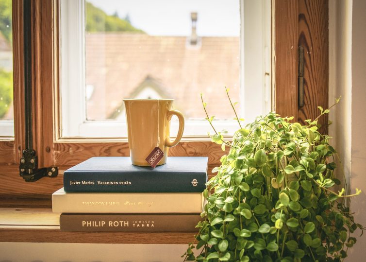 Wooden window with pile of books, mug and plant