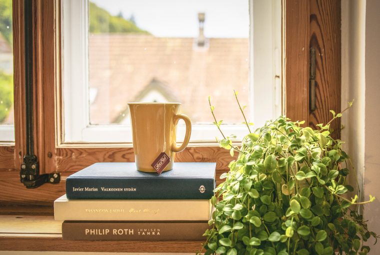 Wooden window with pile of books, mug and plant